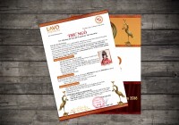 DONG THAP HAIR ANNIVERSARY NIGHT