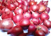 TRỊ GÀU, NGỨA ĐẦU HIỆU QUẢ BẰNG PHƯƠNG PHÁP DÂN GIAN