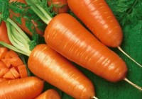 TÓC MƯỢT MÀ, GIẢM GÃY RỤNG VỚI CÀ RỐT