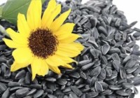 6 THỰC PHẨM NGĂN NGỪA, TRỊ TÓC BẠC SỚM TRƯỚC TUỔI 30