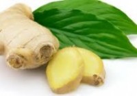 TRỊ TÓC BẠC SỚM ĐƠN GIẢN VỚI GỪNG TƯƠI